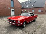 Ford Mustang Cabrio 1965 V8 Liebhaber H-Kennz TÜV NEU - Ford Oldtimer mit Benzin-Antrieb: Cabrio