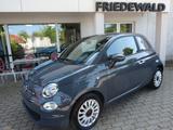 Fiat 500  Mild Hybrid - Fiat 500 Gebrauchtwagen in Dresden