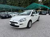 Fiat Punto 1.3 MJT 95CV S&S 5 porte Van 4 posti  - Fiat Punto: 1.9