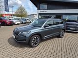 Skoda Kodiaq Drive 125 AHK,ACC - Skoda Kodiaq DRIVE-125