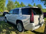 Cadillac Escalade 6.2 V8 Platinum frische TÜV( kein Srt) - Cadillac Escalade: V