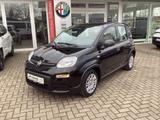 Fiat Panda Pandina 1.0 GSE 52kW Hybrid Klima, DAB - Fiat Panda Gebrauchtwagen in Hannover