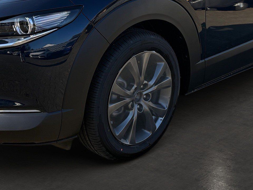 Fahrzeugabbildung Mazda CX-30 X 2.0i 186PS A/T Exclusive SUNR
