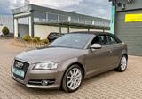 Audi A3 Cabrio 1.2 TFSI Ambition Sportlenkrad Alcanta - Audi A3: Cabrio, 1.2