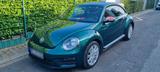 Volkswagen New Beetle - VW New Beetle von privat