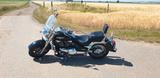 Suzuki VL1500 - Offers matching your search criteria