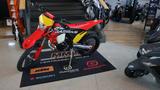 Gasgas EC 300 GP 2025 * AKTIONSPREI* - GASGAS NEU