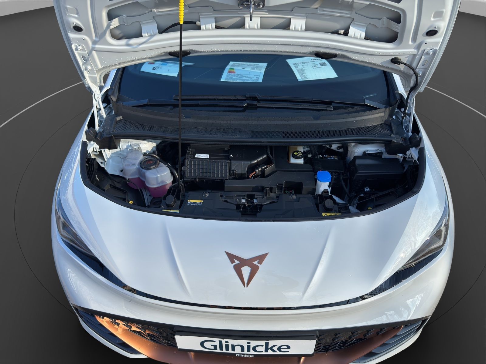 Cupra Born - Bild 21