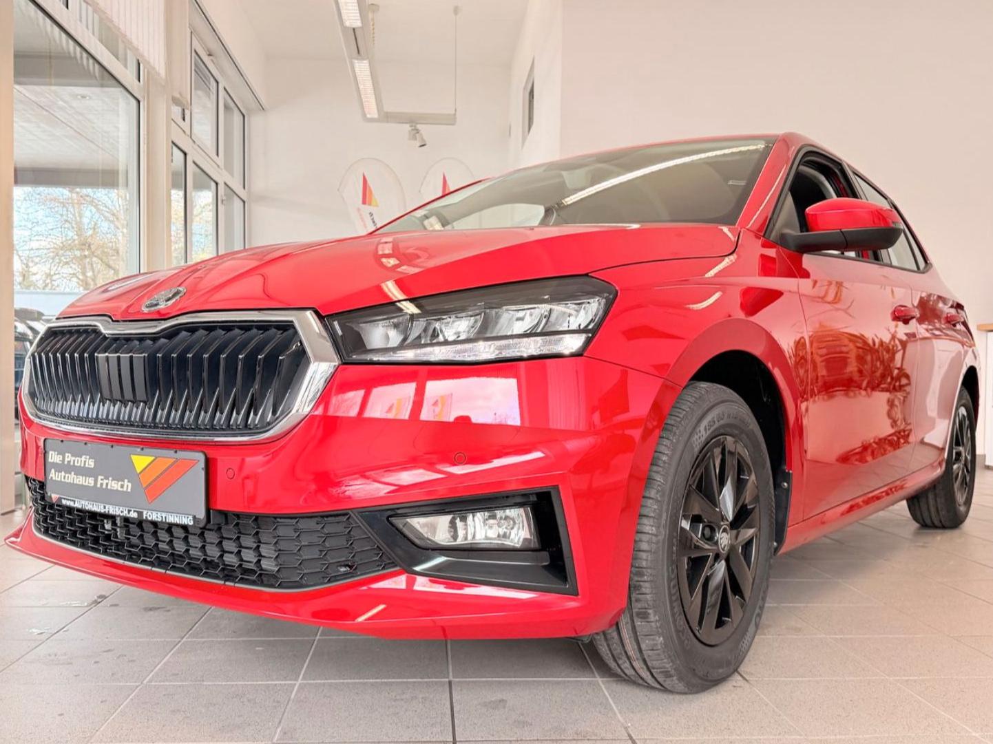 Skoda Fabia 1.0l TSI *SmartLINK*Winterpaket
