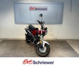 Honda Dax 125 rot - HONDA DAX 125
