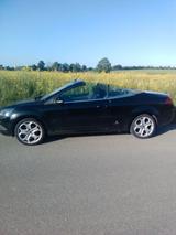 Ford Focus Cabrio schwarz  - Ford Focus aus 2010: Cabrio
