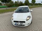Fiat Punto - Baujahr 2008 - zu verkaufen! - Fiat Punto: Verkaufen