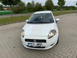 Fiat Punto - Baujahr 2008 - zu verkaufen! - Fiat Punto aus 2008