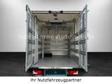Mercedes-Benz Sprinter 316 CDI"Maxi"Tiertransport+ Thermo King - Mercedes-Benz The