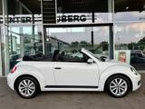 Volkswagen New Beetle 1.2 TSI CABRIO *KLIMAAUTO*TEMPOMAT* - weiße Volkswagen New Beetle
