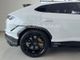 Urus 4.0 V8 Performante Full Carbon Full PPF