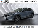 Mazda CX-30 e-SKYACTIV-G 2.0 M Hybrid Homura ACC LED - Mazda CX-30 in Berlin
