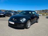 Volkswagen Beetle Lim. Basis BMT - Volkswagen Beetle: Sportwagen