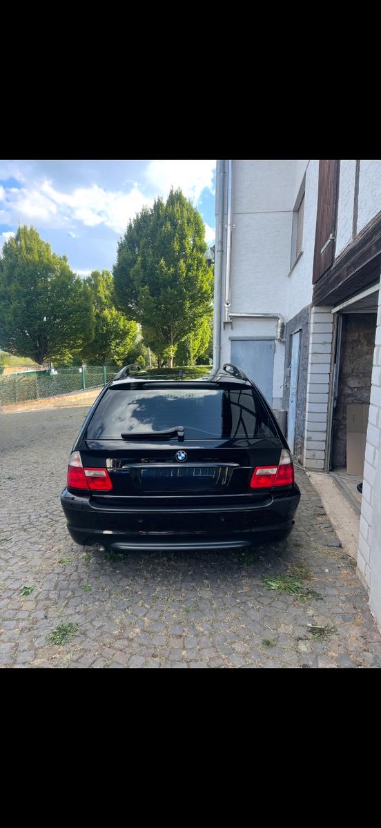 BMW 320 2005 — вигляд ззаду