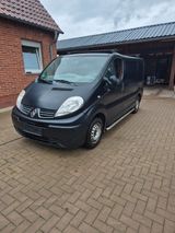 Renault Trafic Bulli - Renault Trafic aus 2010
