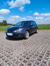 Seat Ibiza 1.4 16V Sport Edition gebraucht - Seat Ibiza aus 2010: Sport