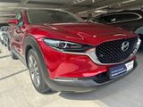 Mazda CX-30 Selection X 186 PS *AWD*Leder*Premium*Desi - Mazda CX-30 in Dortmund