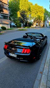 Ford Mustang 5.0 Ti-VCT V8 GT 466 PS Premium  - Ford Mustang in Mannheim