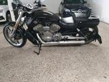 Harley-Davidson V-Rod Muscle - Angebote