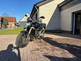 Honda Hornet 600ccm PC41 - HONDA HORNET 600 PC41