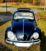 Volkswagen Käfer 1200 Export mit Faltdach Bj 58 - aus 1958 mit Benzin-Antrieb: Cabrio