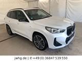 BMW X1 23 xDr M Sport LED+/DRIVING ASS+/KAMERA/AHK - BMW X1: Allradantrieb