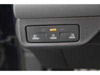 Cupra Terramar - Vorschau Bild 11