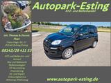 Fiat Panda Pop 1.2 8V Klima Zahnriemen+WaPu neu - Fiat Gebrauchtwagen München