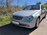Mercedes-Benz CLK 320 Cabrio A209 Elegance - Mercedes-Benz: Clk A209