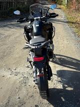 Triumph Tiger 1200 Rally Explorer - NEUFAHRZEUG -  - Triumph Tiger 1200 Rally Explorer