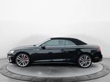 Audi S5 Cabriolet 3.0 TFSI q. Tiptr., Matrix Laser, A - Audi S5: Leder