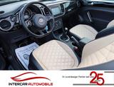 Volkswagen Beetle 1.4 TSI Exclusive Design |Bi-Xenon|Kamera - gebrauchte Roadster