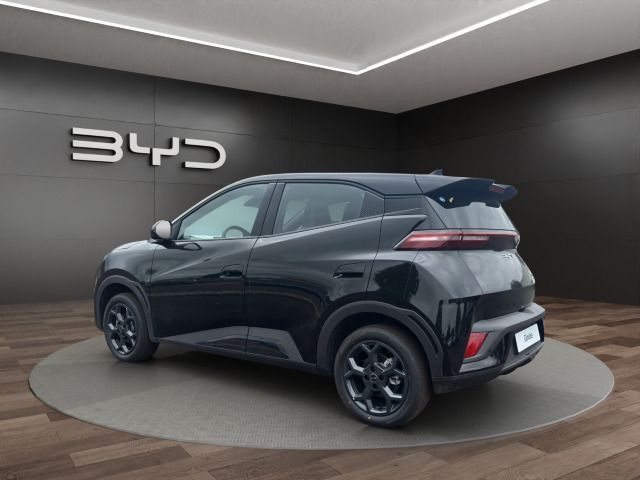 BYD DOLPHIN SURF
