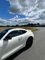 Mercedes-Benz AMG GT 4.0 V8 DCT - SCHALENSITZE / CARBON  /  - Mercedes-Benz AMG GT: Privatanbieter