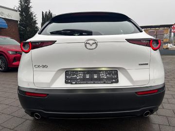Mazda CX-30 Basis 2WD