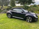 Volkswagen Beetle 1.4 TSI DSG BMT Exclusive Design Cabr... - Volkswagen Beetle: Exclusive Design
