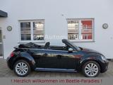Volkswagen Beetle 1.2TSI Cup Xenon Navi SHZ PDC - Volkswagen Beetle Gebrauchtwagen
