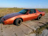 Andere Pontiac Firebird Trans Am Targa  Kitt Knig... - Andere aus 1985