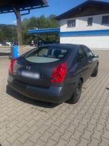 Nissan Primera 2.0 LPG, Baujahr 2003 - Nissan Primera: 20