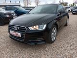 Audi A3 ambition ultra Klima Standheizung Sitzheizung - Audi A3: Standheizung