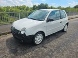 Volkswagen Lupo 1.0 College#SERVO/HU/AU MAI 2027# - Volkswagen Lupo: College