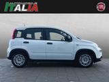 Fiat Panda 1.0 GSE Hybrid - gebrauchte Fiat Panda aus dem Jahr 2024