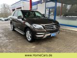 Mercedes-Benz ML 250 ML -Klasse ML 250 CDI BlueTec