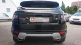 Land Rover Range Rover Evoque Dynamic Standheizung Xenon - Land Rover