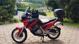 BMW F650 Funduro Typ 169 - BMW BENZIN ENDURO F 650 FUNDURO